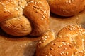 Kaiser rolls - fresh pastry - fresh buns