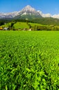 Kaisergebirge in Austria