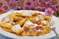 Kaiserschmarrn Royalty Free Stock Photo