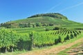 Kaiserstuhl Wine Region,Black Forest,Germany Royalty Free Stock Photo