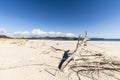 Kaitoke Beach, Great Barrier Island, NZ Royalty Free Stock Photo