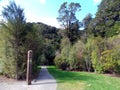 Rivendell at Kaitoke Regional Park