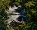 Waterfall on the Kaituna River Royalty Free Stock Photo