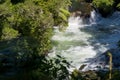 Waterfall on the Kaituna River Royalty Free Stock Photo