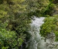 The Kaituna in flood Royalty Free Stock Photo