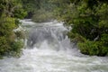 The Kaituna in flood