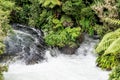 The Kaituna in flood