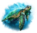 Big sea turtle. Splashes and waves Royalty Free Stock Photo