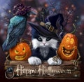 Wizard cat, raven and Halloween pumpkins Royalty Free Stock Photo