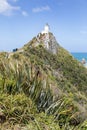 Nugget Point Lighthouse, a popular tourist destination on New Zealand`s Catlins Coast Royalty Free Stock Photo
