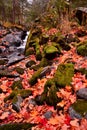 Kakabika Falls area on the Cisco Branch of Ontonagon River