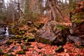 Kakabika Falls area on the Cisco Branch of Ontonagon River