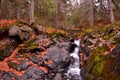 Kakabika Falls area on the Cisco Branch of Ontonagon River