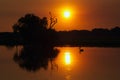 Kakadu Sunset Royalty Free Stock Photo