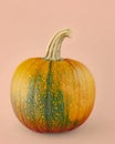 Kakai pumpkin close up isolated on light pink-beige background.