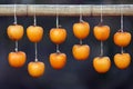 Kaki fruit drying Royalty Free Stock Photo