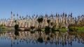 Kakku Buddhist Temple - Shan State - Myanmar Royalty Free Stock Photo