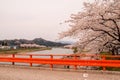 Kakunodate,Akita,Tohoku,Japan on April 27,2018:Yokomachi Bridge and fully bloomed cherry blossoms along Hinokinai River.selective