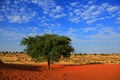 Kalahari Desert Royalty Free Stock Photo