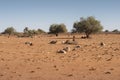 Kalahari desert in Namibia Royalty Free Stock Photo