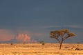 Kalahari desert landscape Royalty Free Stock Photo