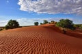 Kalahari desert, Namibia Royalty Free Stock Photo