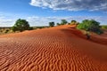 Kalahari desert, Namibia Royalty Free Stock Photo