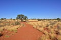 Kalahari desert, Namibia Royalty Free Stock Photo