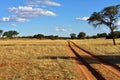 The Kalahari desert, Namibia Royalty Free Stock Photo