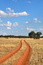 The Kalahari desert, Namibia Royalty Free Stock Photo
