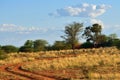 The Kalahari desert, Namibia Royalty Free Stock Photo
