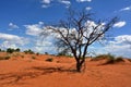 Kalahari desert, Namibia Royalty Free Stock Photo