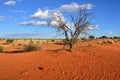 Kalahari desert, Namibia Royalty Free Stock Photo