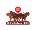 KALAHARI RED CROSS BREEDS GOAT LOGO