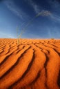 Kalahari red sand dune Namibia Royalty Free Stock Photo