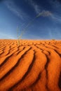 Kalahari red sand dune Namibia