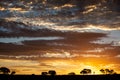 Kalahari Sunset in the Kgalagadi Transfrontier Park