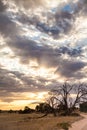 Kalahari Sunset in the Kgalagadi Transfrontier Park