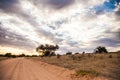 Kalahari Sunset in the Kgalagadi Transfrontier Park