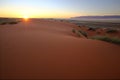 Kalahari Sunset