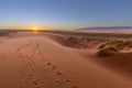 Kalahari Sunset