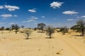 Kalahari Transfrontier Park Royalty Free Stock Photo