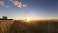 Kalahati sunset with trees grass and blue sky