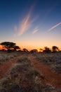 Kalahati sunset with trees grass and blue sky