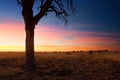 Kalahati sunset with trees grass and blue sky