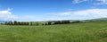 Kalajun grassland in summer