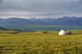 Kalajun grassland in summer Royalty Free Stock Photo