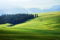 Kalajun grassland in summer Royalty Free Stock Photo