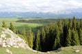 Kalajun grassland in summer Royalty Free Stock Photo