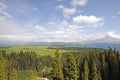 Kalajun grassland in summer Royalty Free Stock Photo